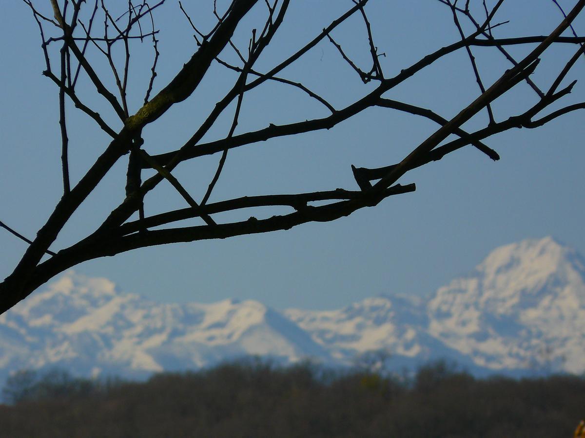Gite Au Bouzigues Monlaur-Bernet Luaran gambar