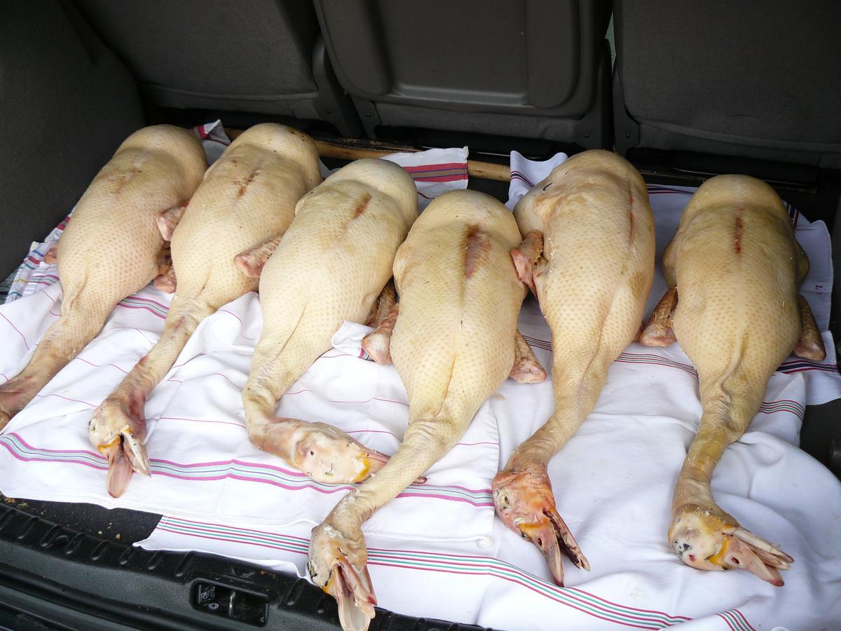 Gite Au Bouzigues Monlaur-Bernet Luaran gambar